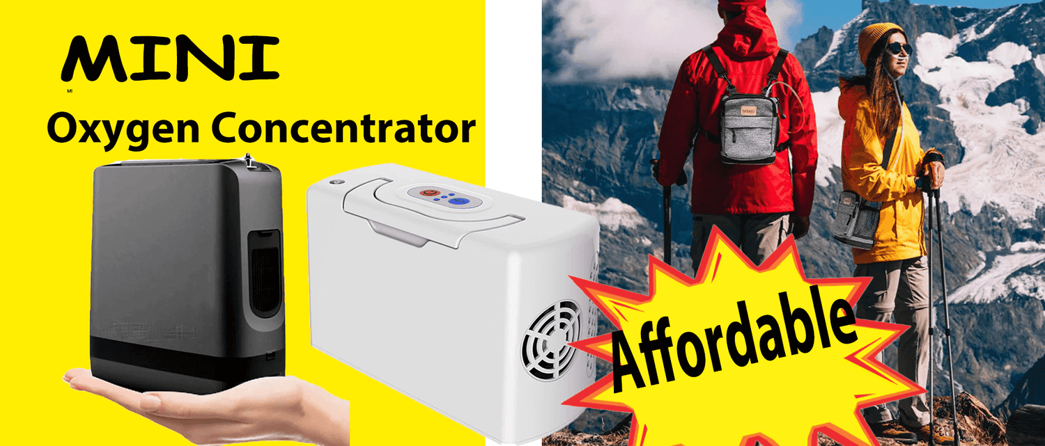 mini portbale oxygen concentrator continus flow rate
