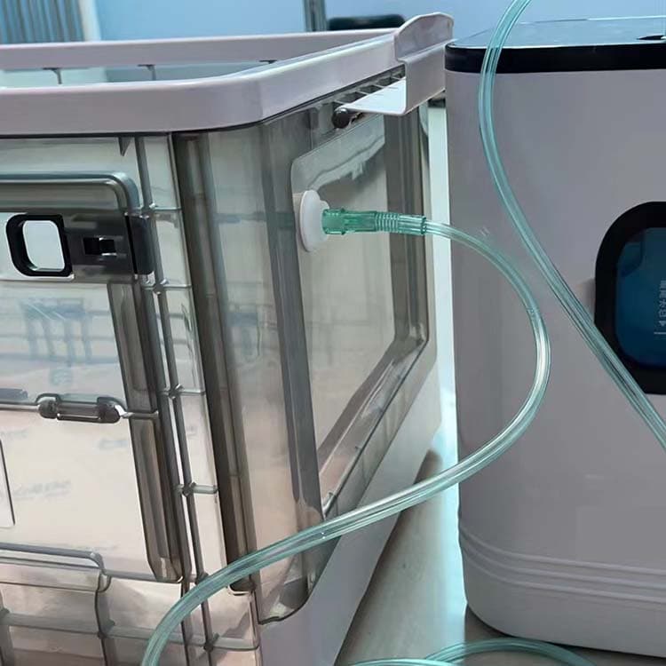 Dog and Cat Oxygen Therapy Box Whelping Box for Pet Puppy Kitten Nebulization Oxygen Box