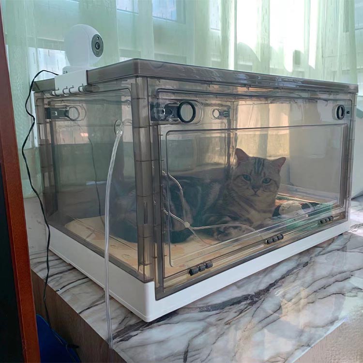 Dog and Cat Oxygen Therapy Box Whelping Box for Pet Puppy Kitten Nebulization Oxygen Box