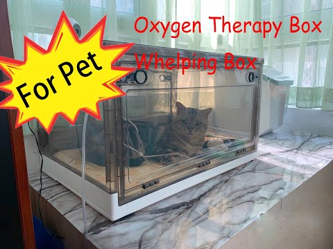 Perro y gato caja de terapia de oxígeno caja de parir para mascotas cachorro gatito nebulización caja de oxígeno